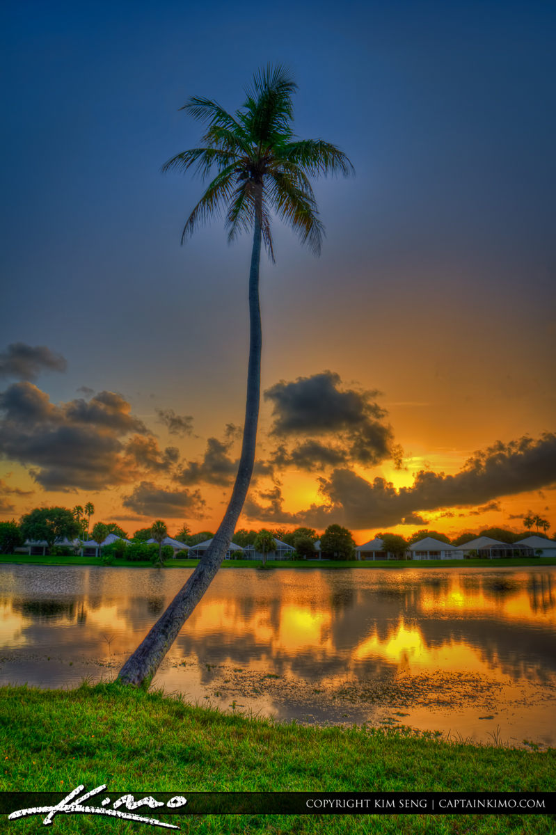Coconut Tree at Lake Catherine during Sunset