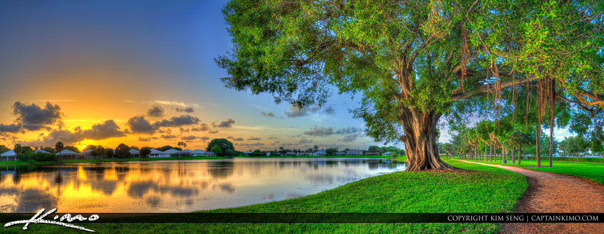Sunset at the Lake by the Banyan Tree Florida