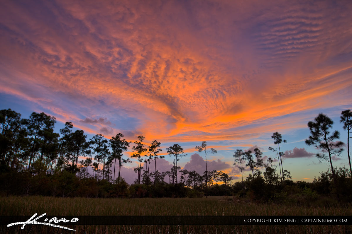 Sky Over Wetlands in Palm Beach Gardens Florida