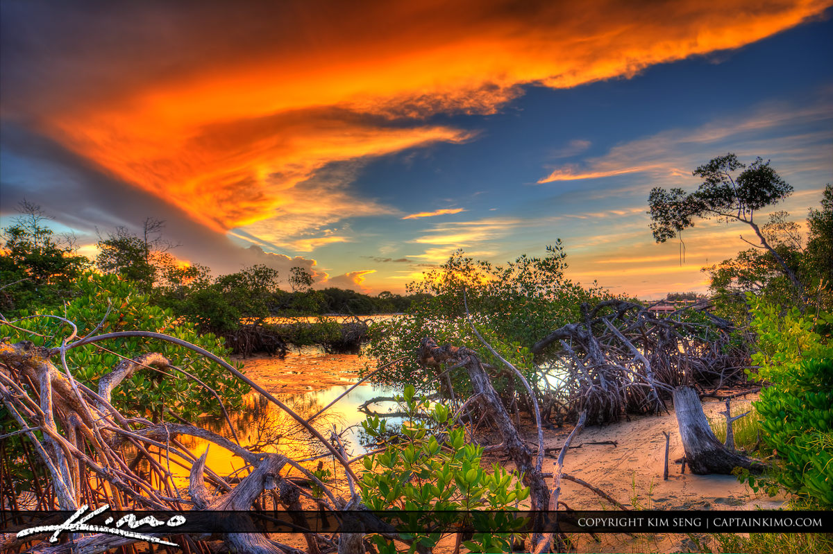 Mangrove Sunset at Intracoastal Waterway