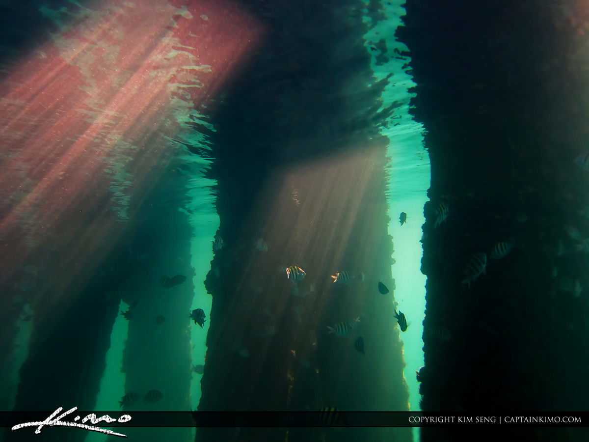 Pillars of Light Underwater Photography Snorkeling