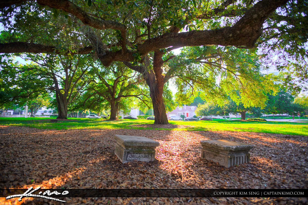 Park in Downtown Orlando Florida with Oak Trees