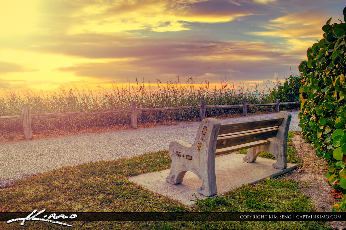 Bench at the Beach Watching the Sunrise Florida