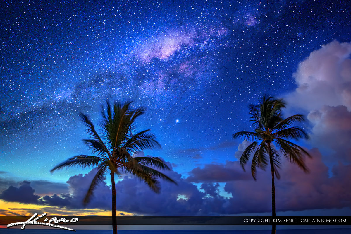 Palm Tree Under the Milky Way Over Ocean