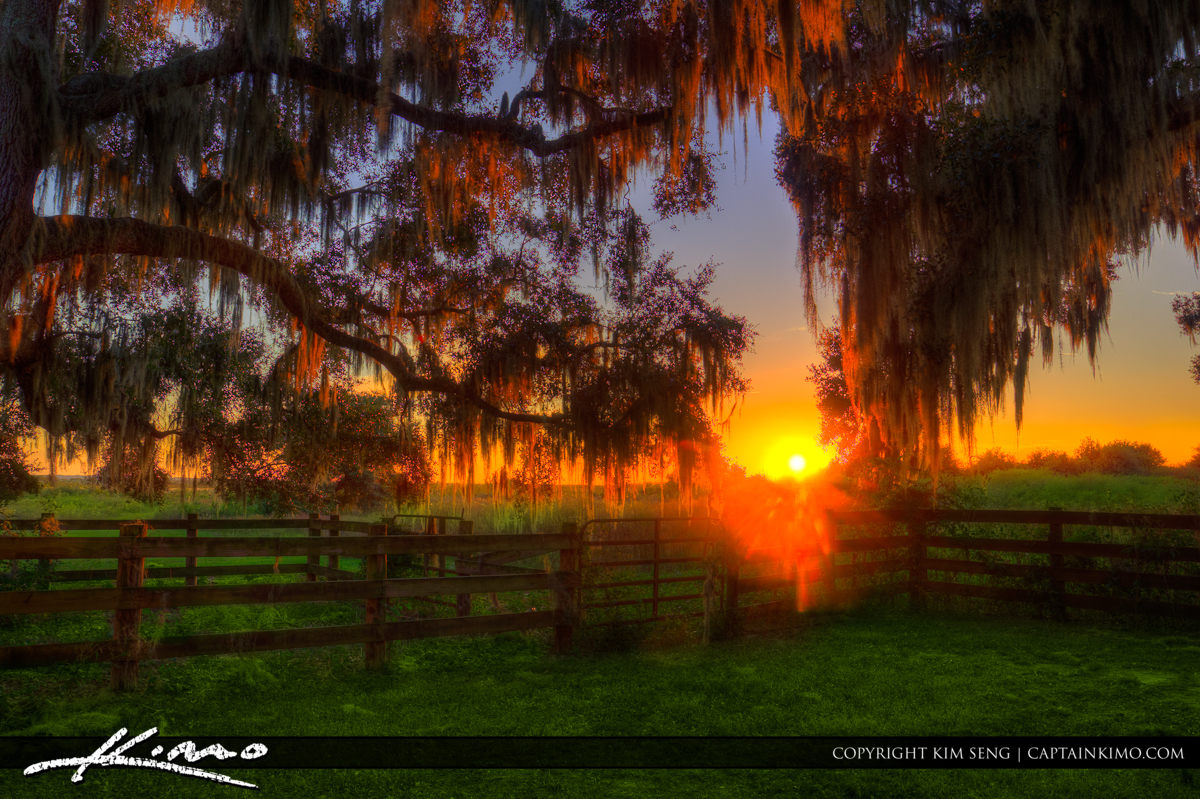 Sunset at Paynes Prairie Ranch Gainesville Florida
