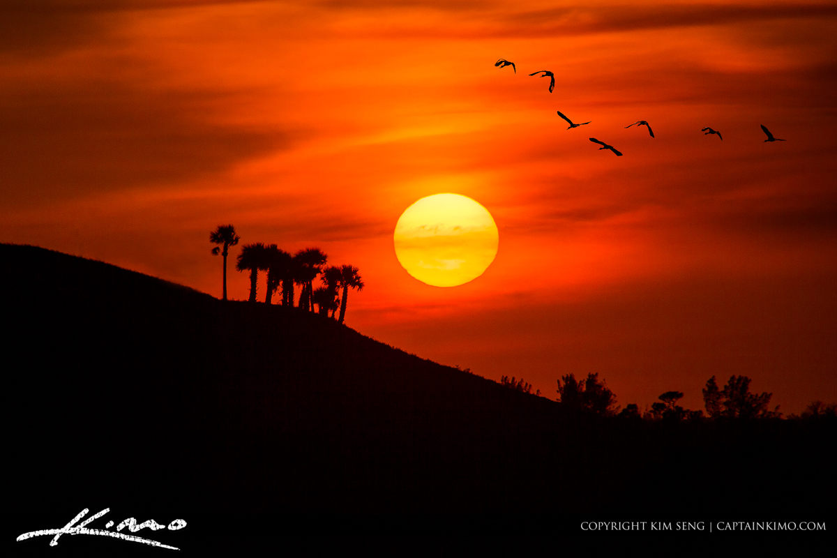 Birds Flying into the Sunset Over Mountain in Florida