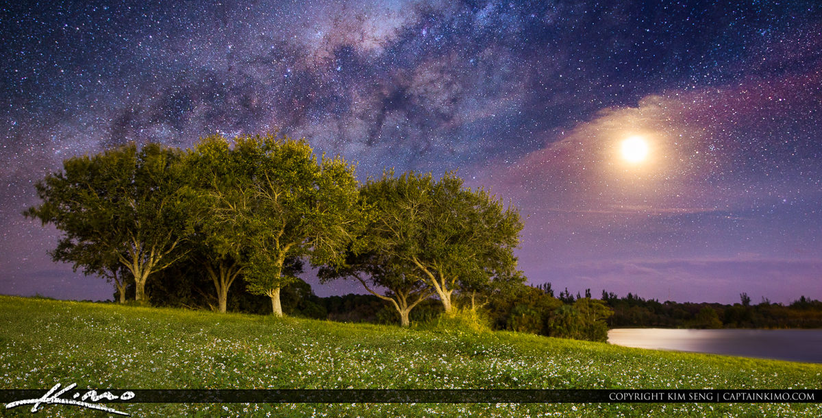 Milkyway Moonrise Over Grassy Hill with Trees