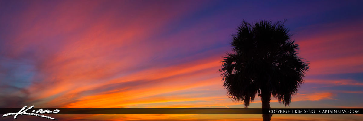 Florida Palm Tree Silhouette Colorful Sunset