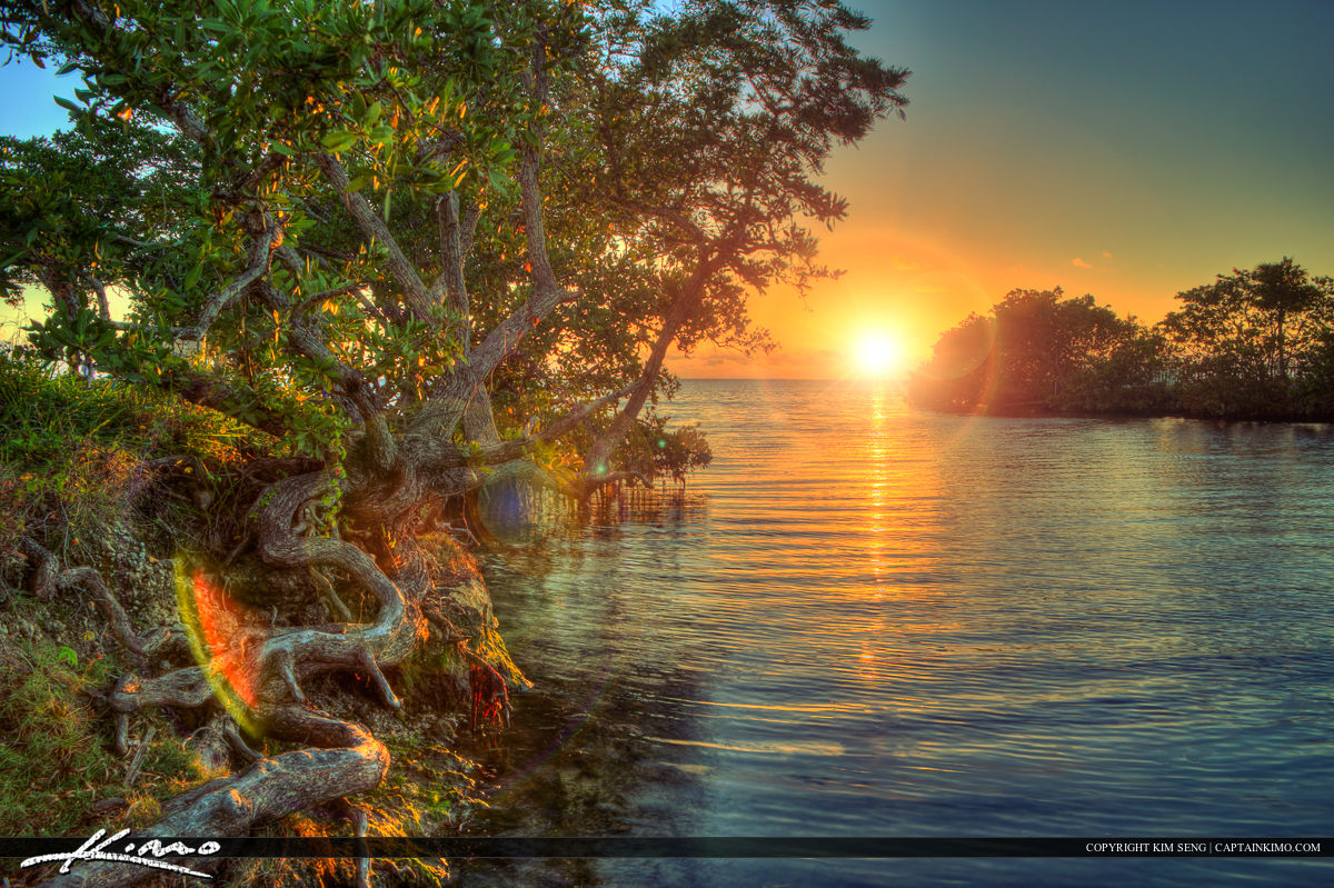 Biscayne Bay Sunrise at Deering Estate Miami Dade County