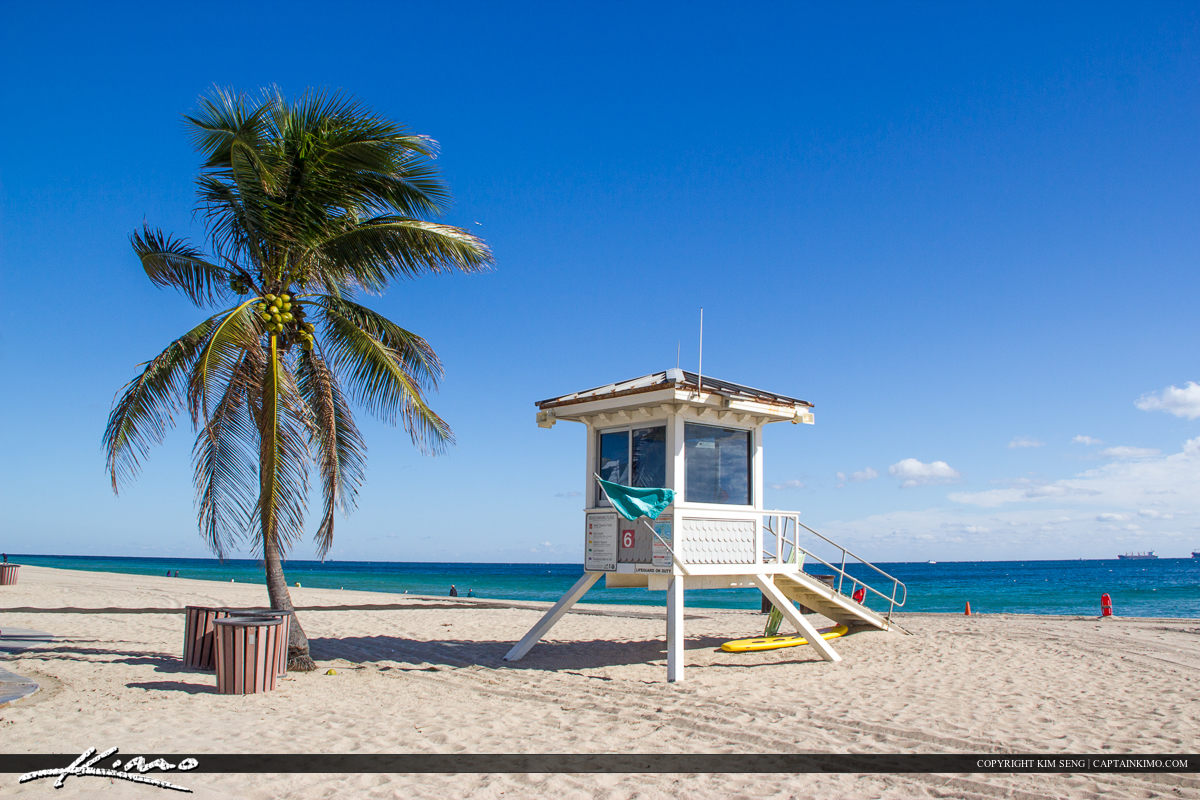 Fort Lauderdale Lifeguard Tower and Palm