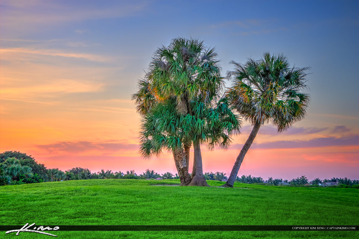 Palm Tree Golf Course North Palm Beach Florida