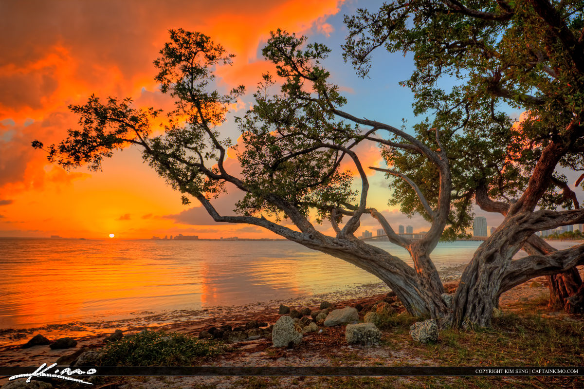 HDR Photography Mangrove Sunset from Key Biscayne