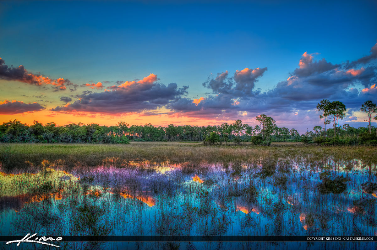 Marsh Wetlands Sunset Sweetbay Park West Palm Beach Florida
