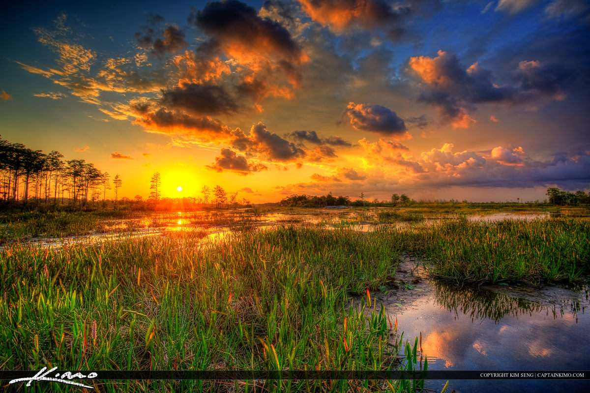 Sunset at Wetlands Slough Palm Beach County