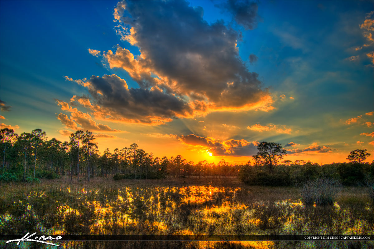 Swamp Wetlands Sunset Sweetbay Park West Palm Beach Florida