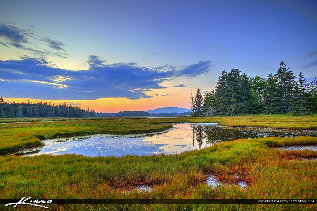 Bass Harobor Marsh Acadia Maine