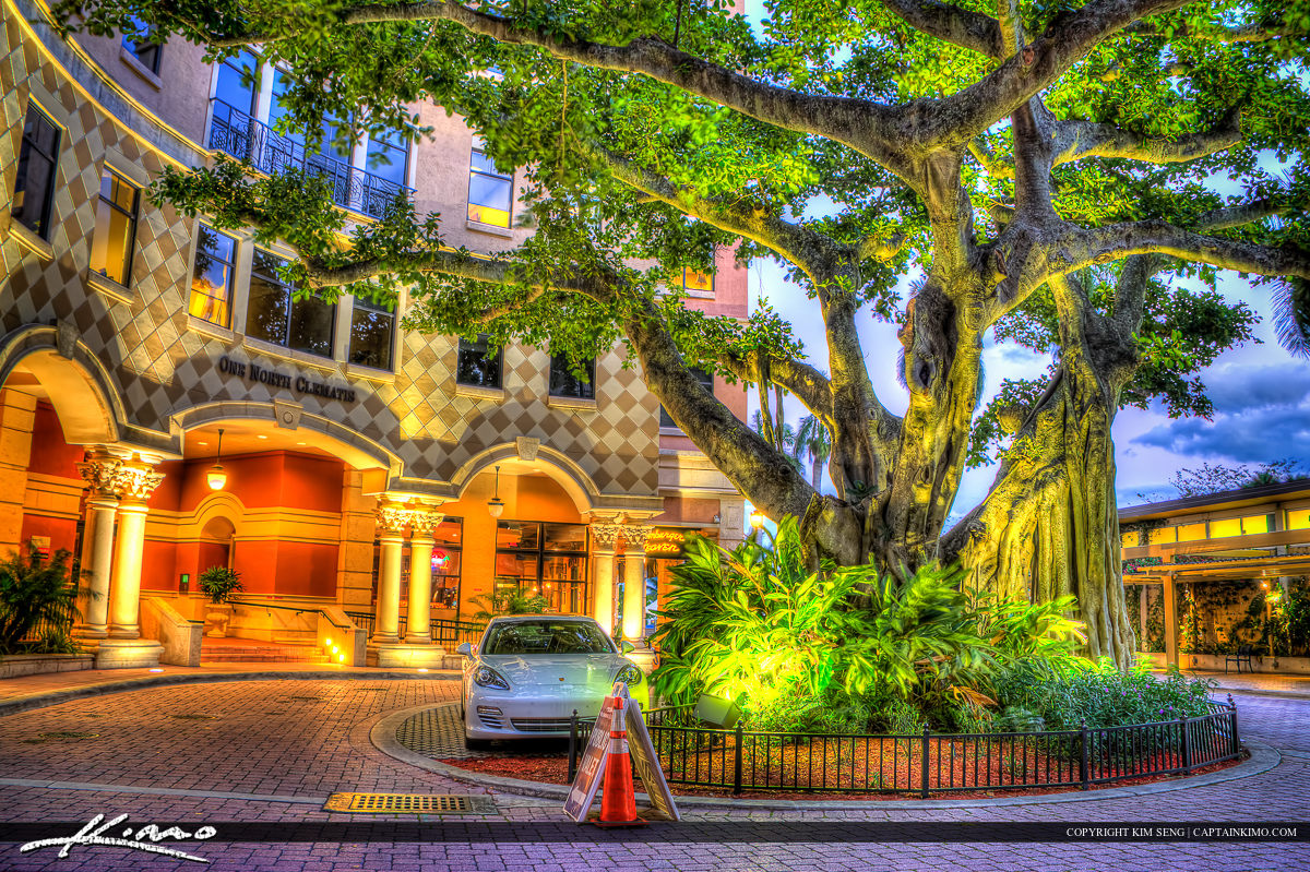 Downtown Clematis West Palm Beach Banyan Tree