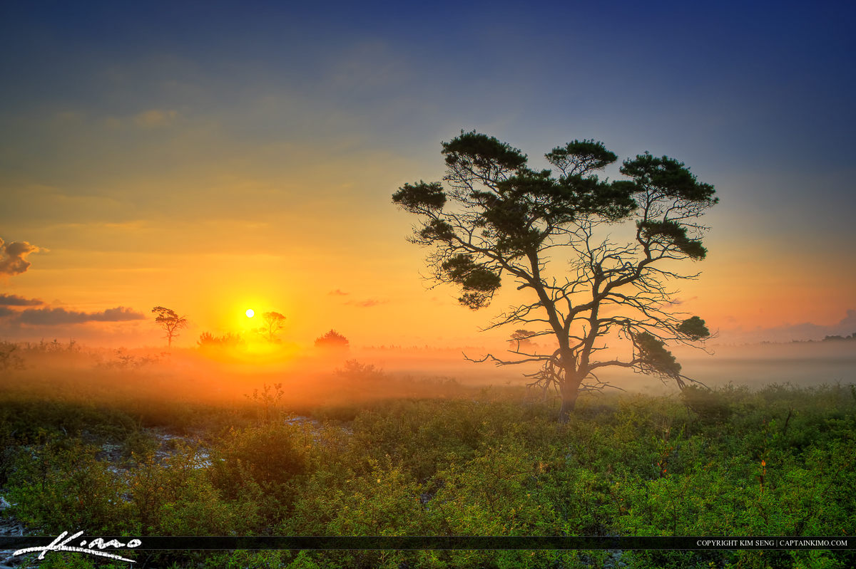 Florida Landscape During Foggy Morning Sunrise