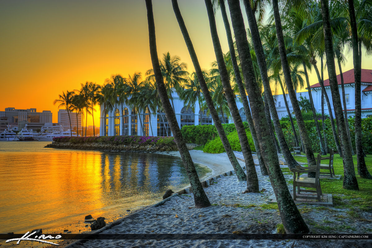 Sunset at Flagler Museum by Coconut Trees
