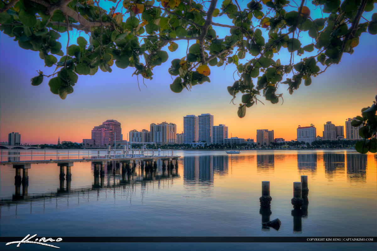 West Palm Beach Skyline Under Seagrape Tree Hdr Photography By
