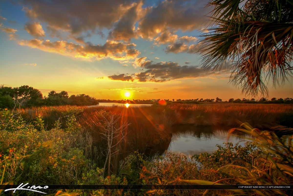 Wetlands Mosquito Lagoon Sunset Over Volusia County Florida