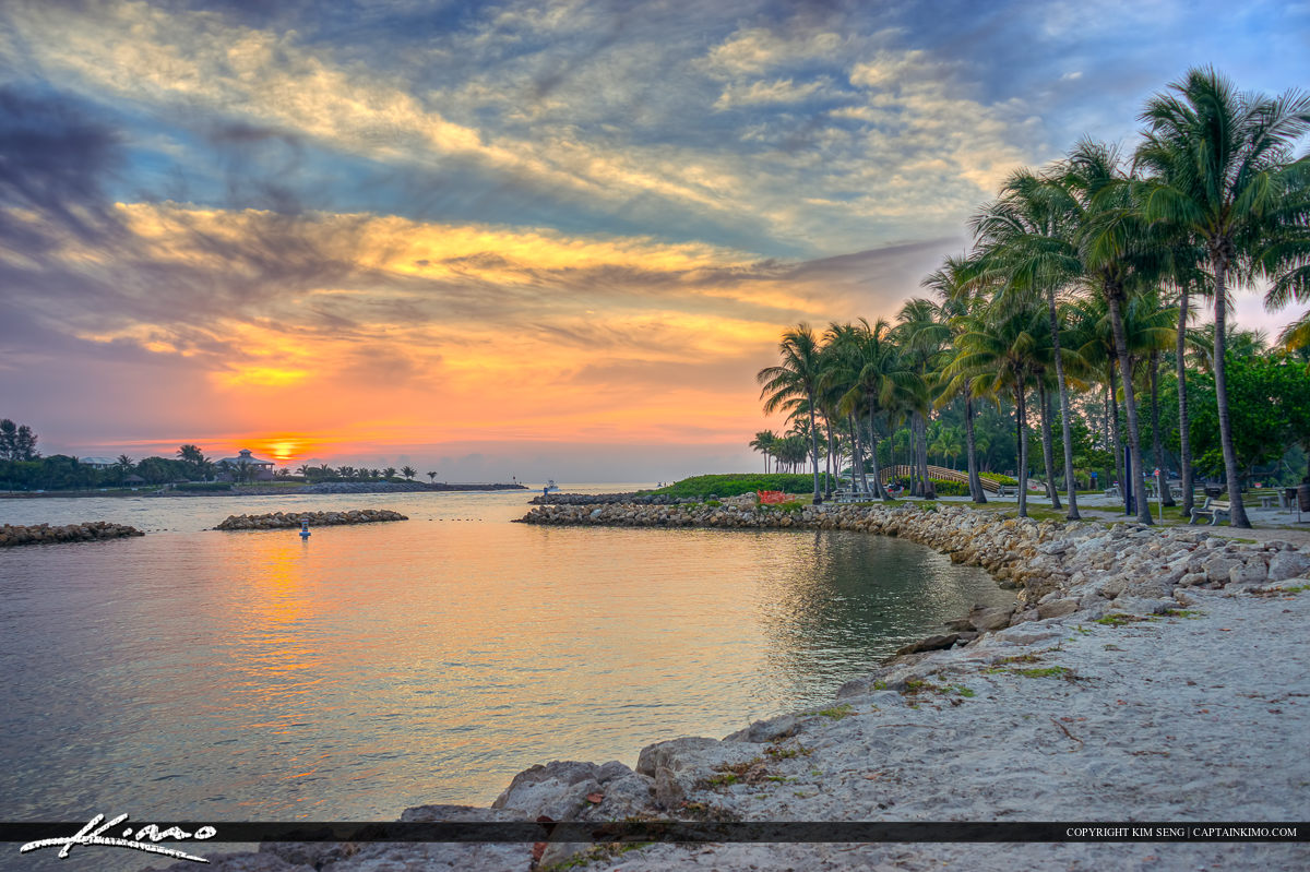 Dubois Park Coconut Tree at Sunrise by Inlet
