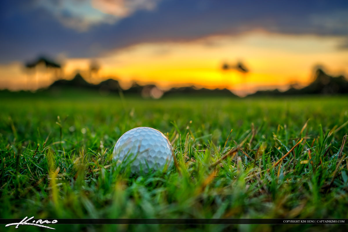 Golf Ball at Golf Course North Palm Beach Florida