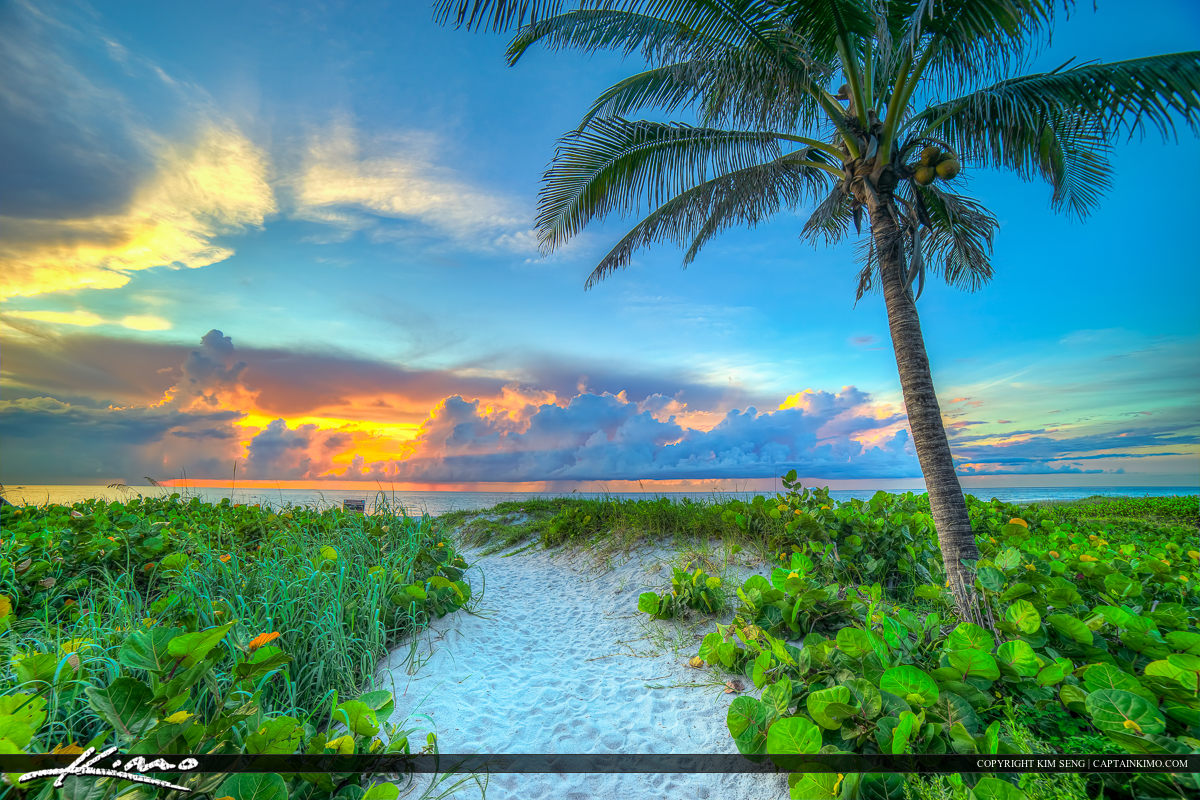 Delray Beach Florida Sunrise at Beach with Coconut Tree