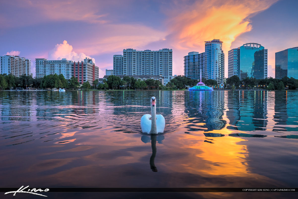 Lake Eola Park Swan in Downtown Orlando Florida