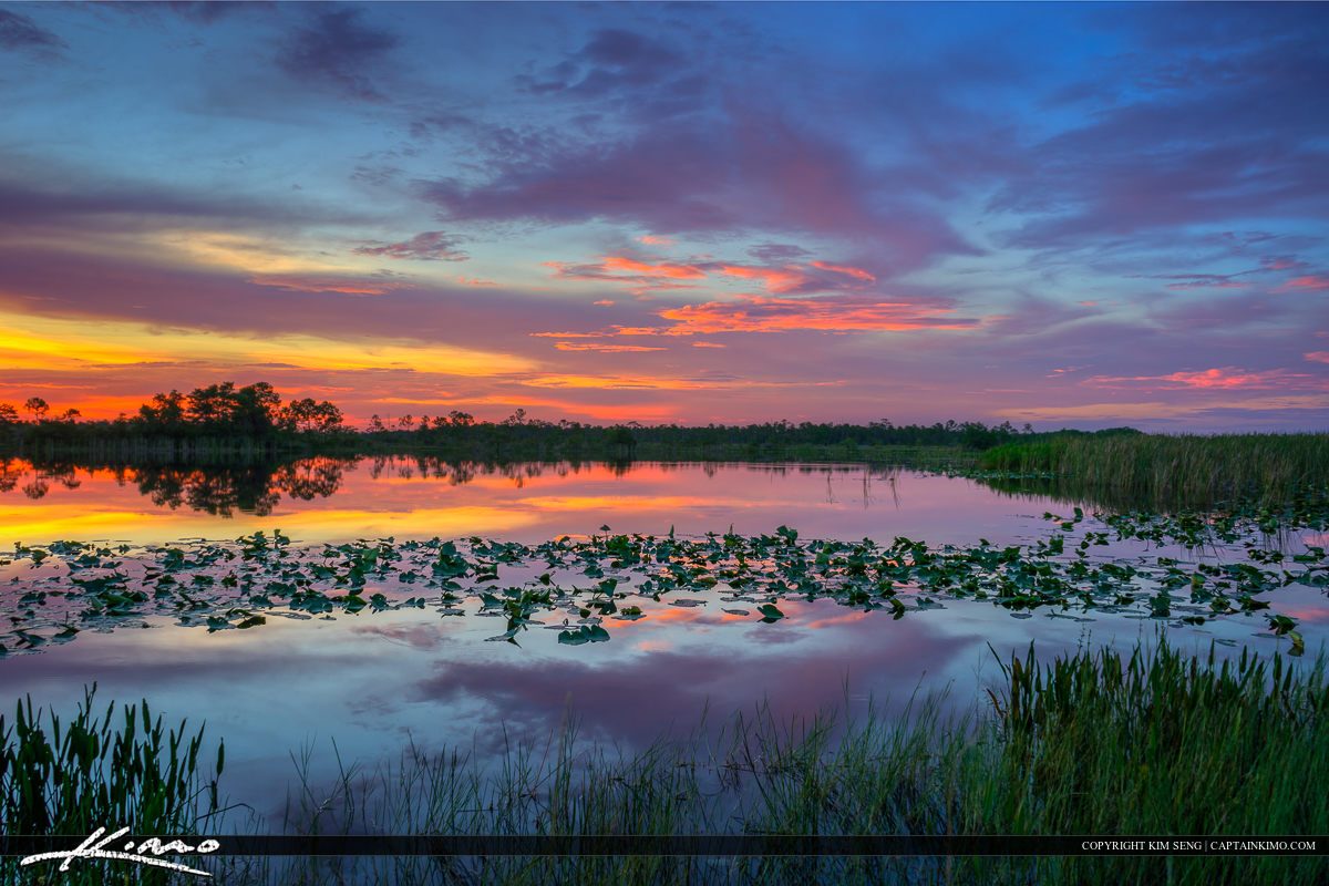 Martin County Florida Lake Sunset