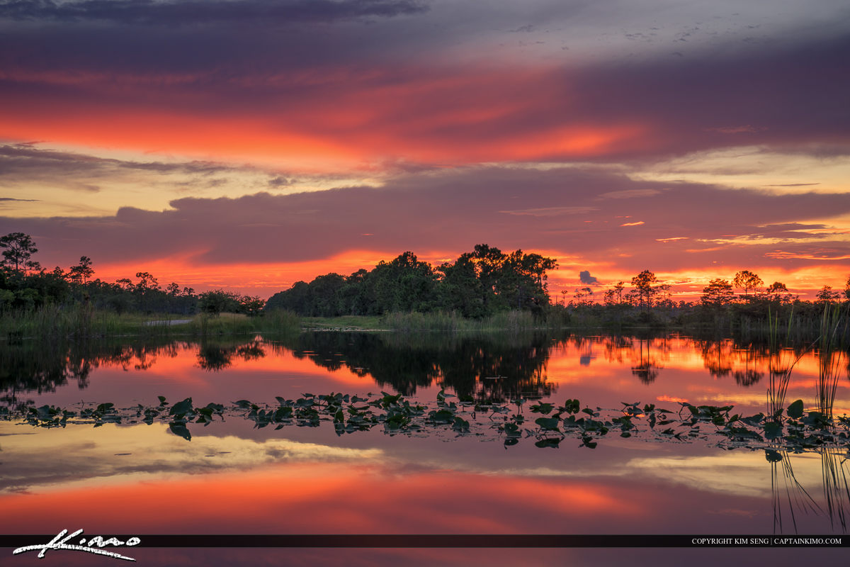 Martin County Florida Lake and Reflection