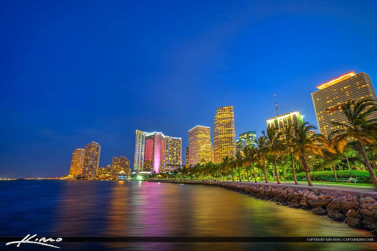 Miami City Downtown Nighttime at Bayshore Park