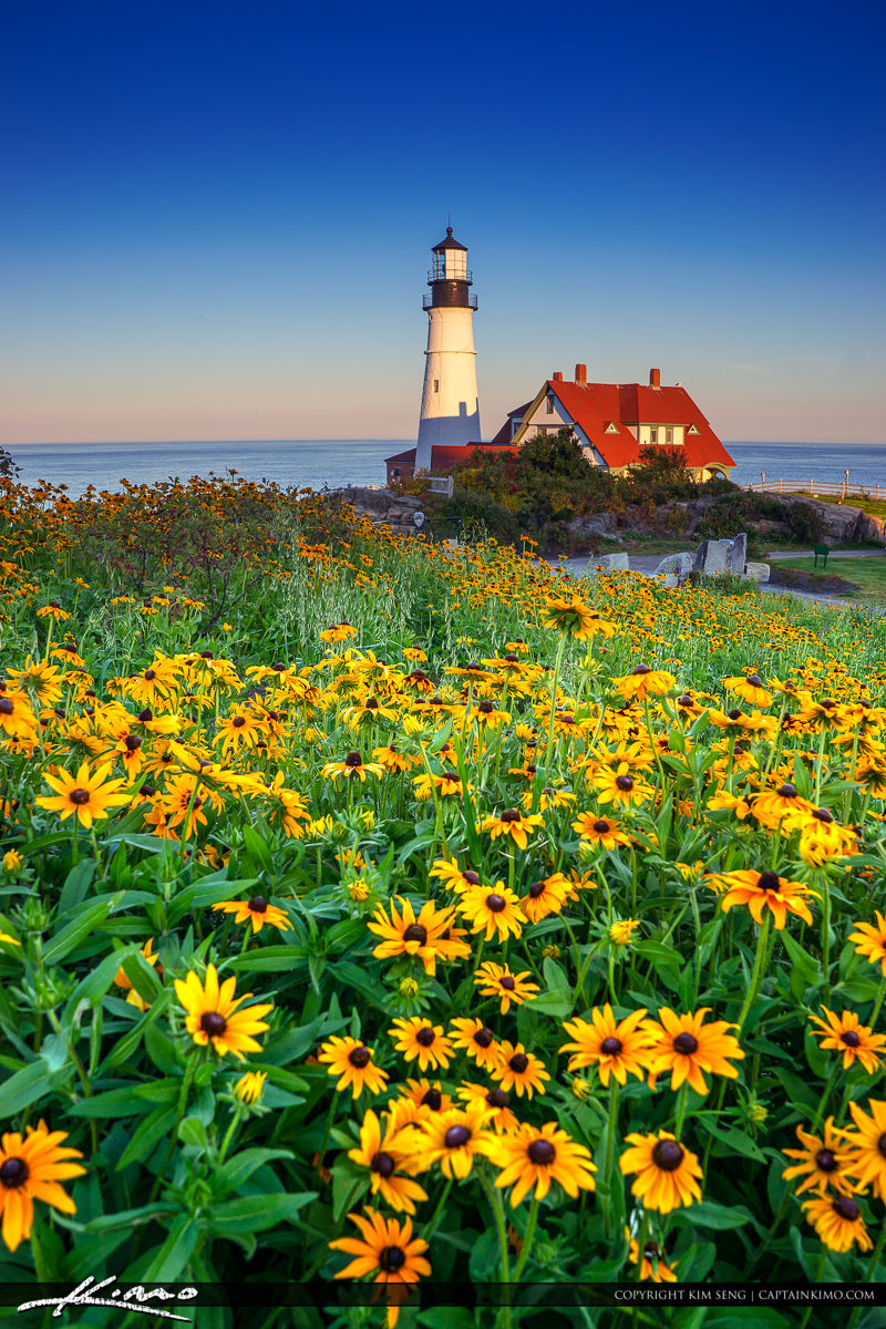 Portland Maine Lighthouse with Flower