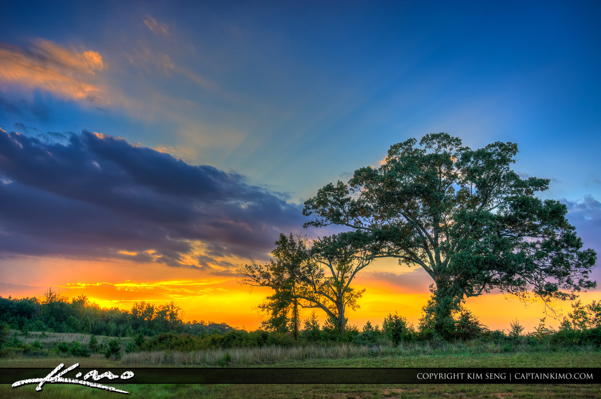 Virginia Landscape Beautiful Sunset with Tree