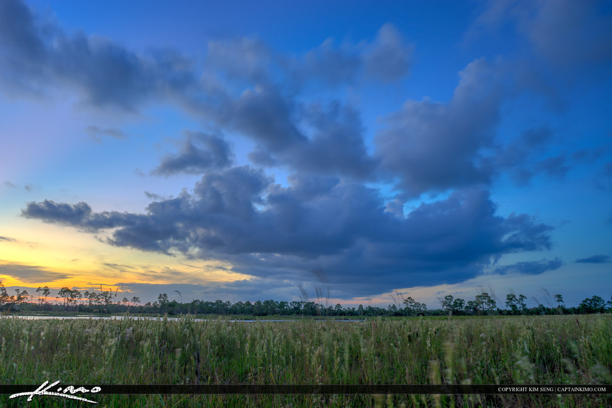 Florida Wetland Landscape Colorful Clouds Over Jupiter