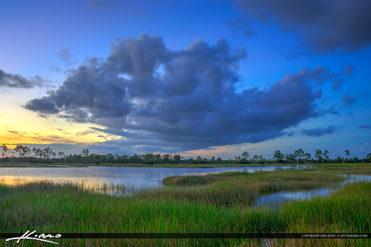 Florida Wetland Landscape Pine Glades Natural Area Sunset