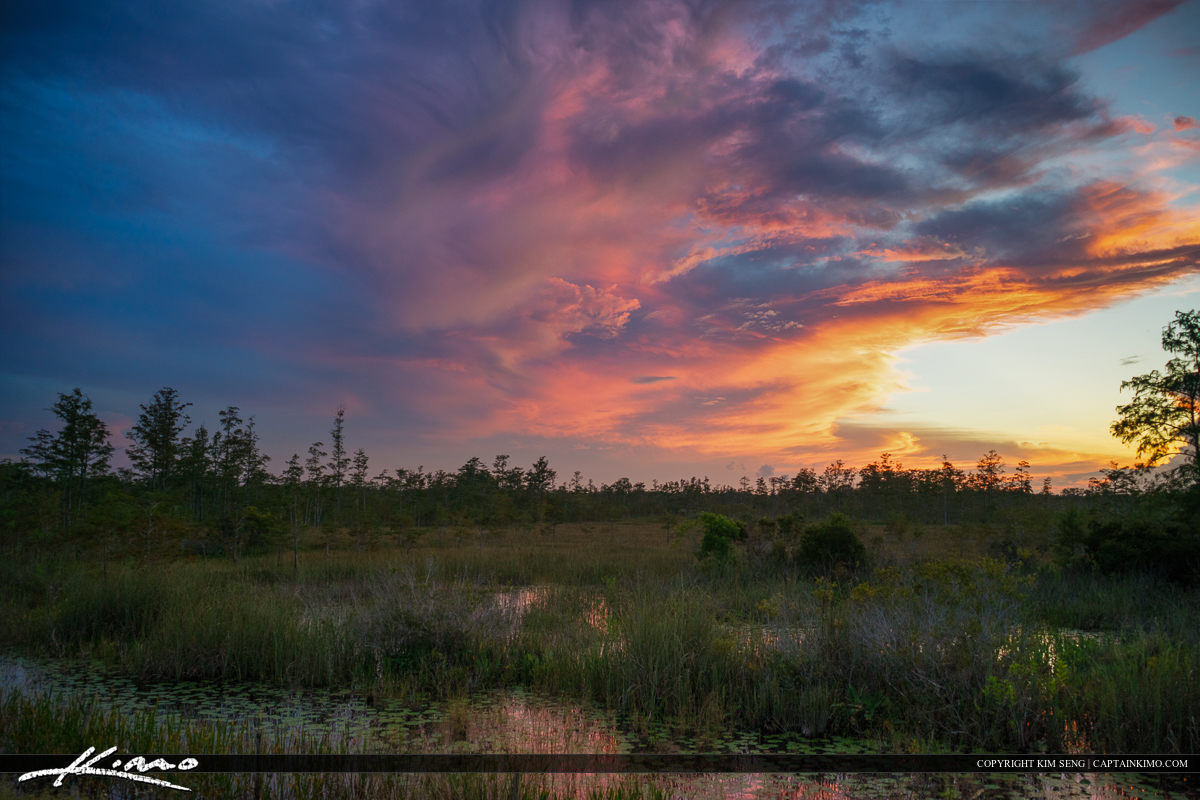 Wetlands Sunset Florida Landscape Clouds Over Preserve Hdr