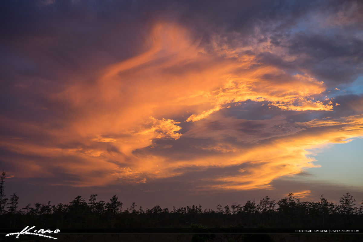 Wetlands Sunset Florida Landscape Colorful Clouds