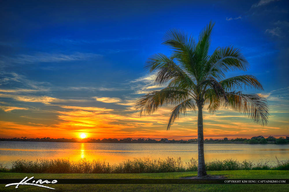 Boca Raton South County Regional Park Coconut Tree Sunset