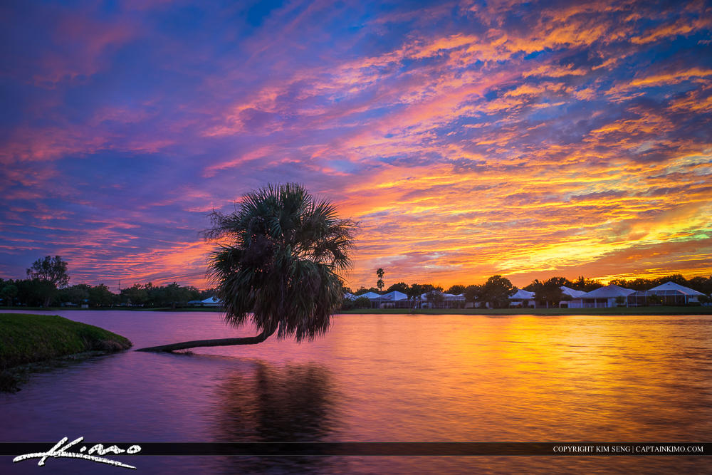 Palm Beach Gardens Florida Lake Sunset