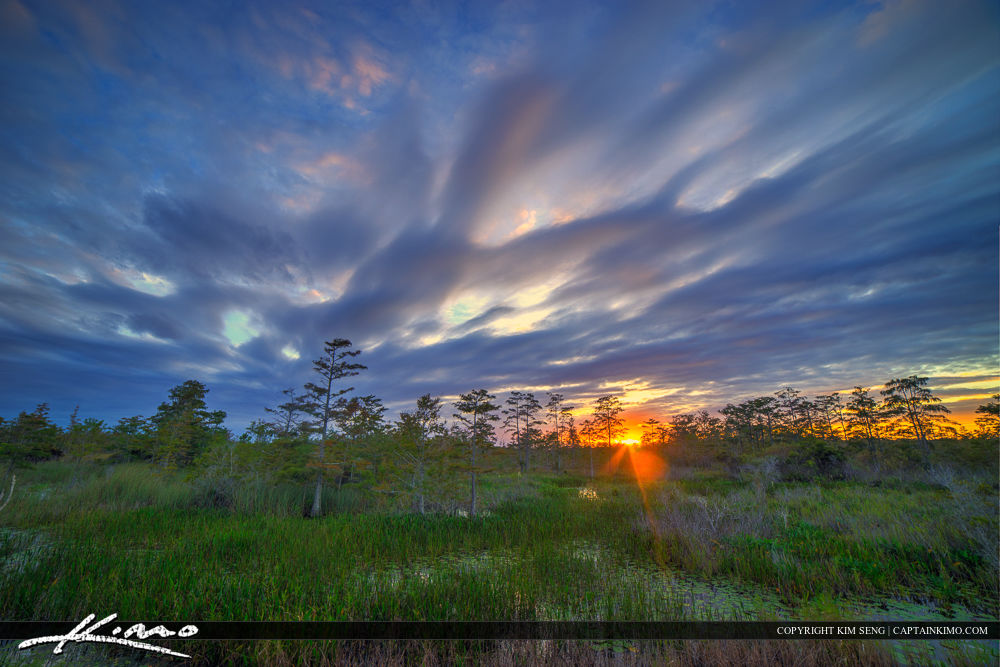 Wetlands Sunset Florida Flowing Clouds
