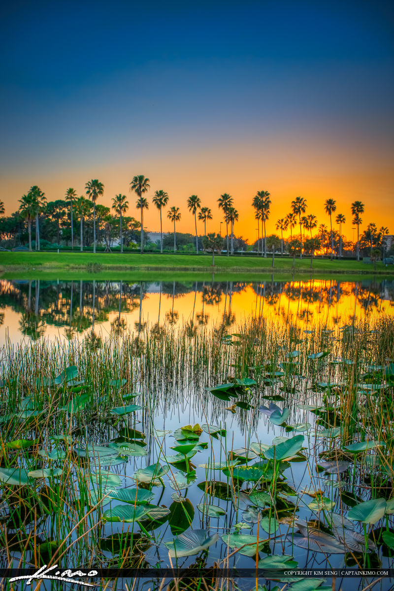 Palm Beach Gardens Mall Sunset at Lake