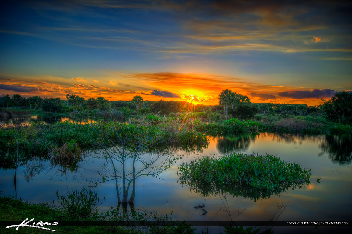 Peaceful Waters Sanctuary Wellington Florida Wetlands