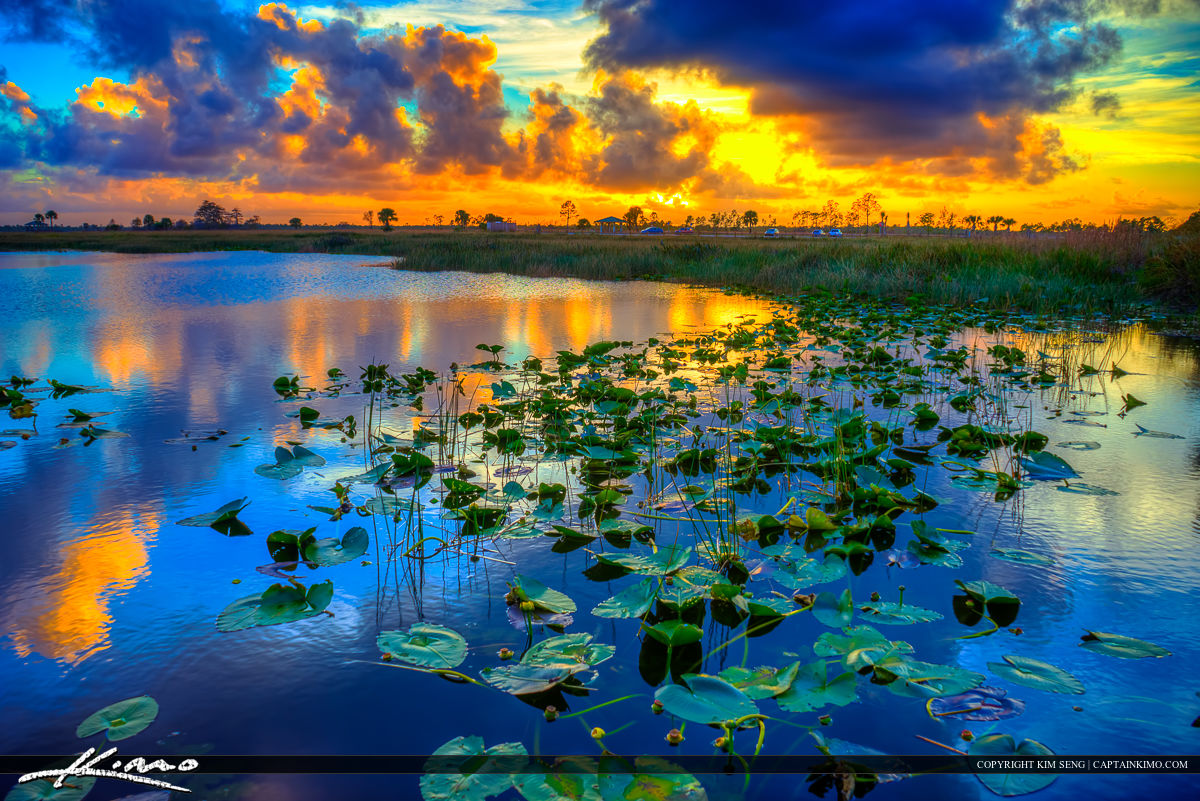 Sunset Pine Glades Florida Wetlands